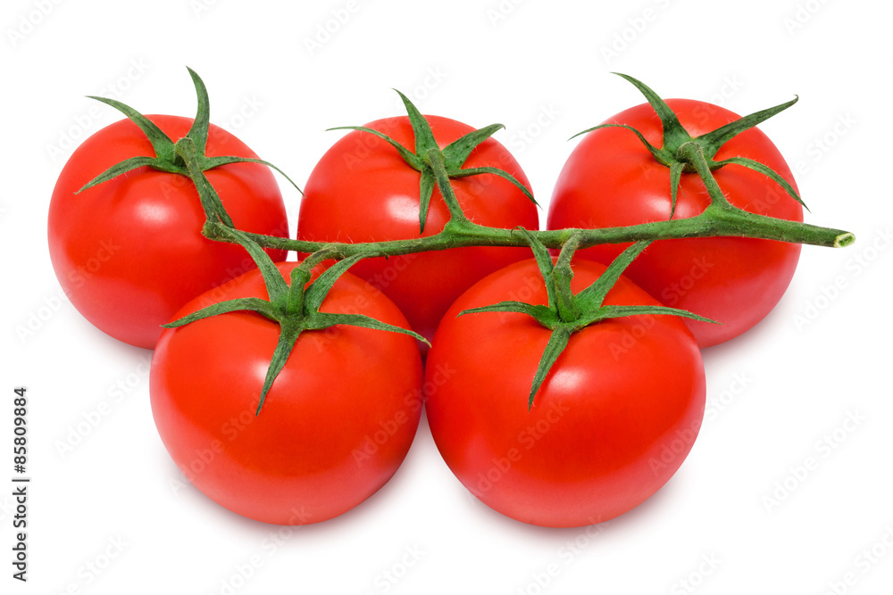 Branch of fresh red tomatoes on isolated white backround Branch of fresh red tomatoes on isolated white backround