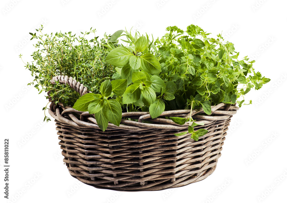 Assortment of fresh herbs in wicker basket Assortment of fresh herbs in wicker basket