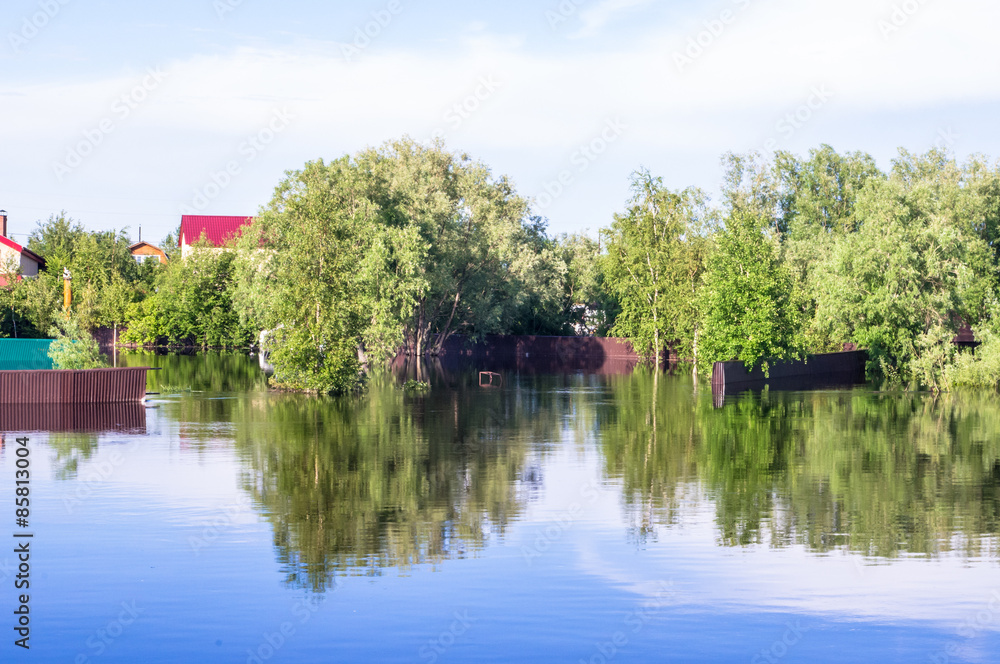 Flooded houses and trees