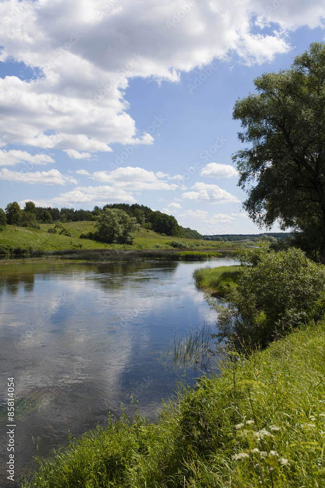Fototapeta premium View from the shore of the river against the background of pine forest and cloudy sky