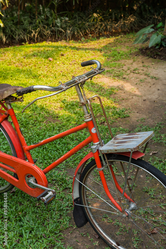 Red retro bicycle in park. Red retro bicycle in park.