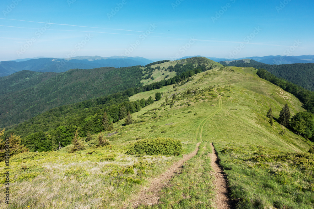 Path through the amazing spring mountain ridge