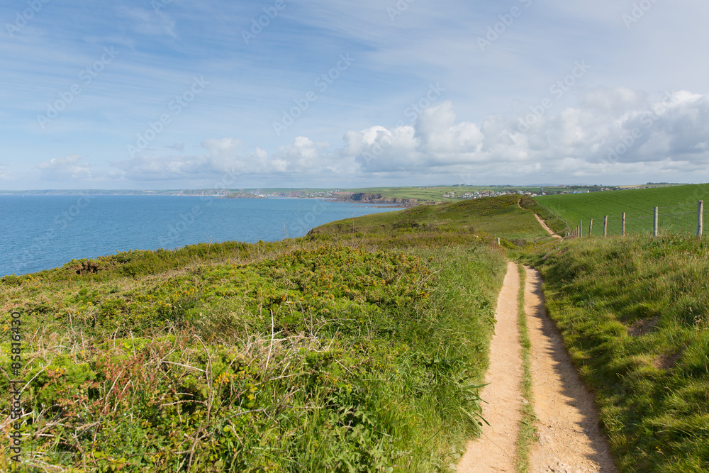 Fototapeta premium Devon coast path towards Thurlestone England UK 