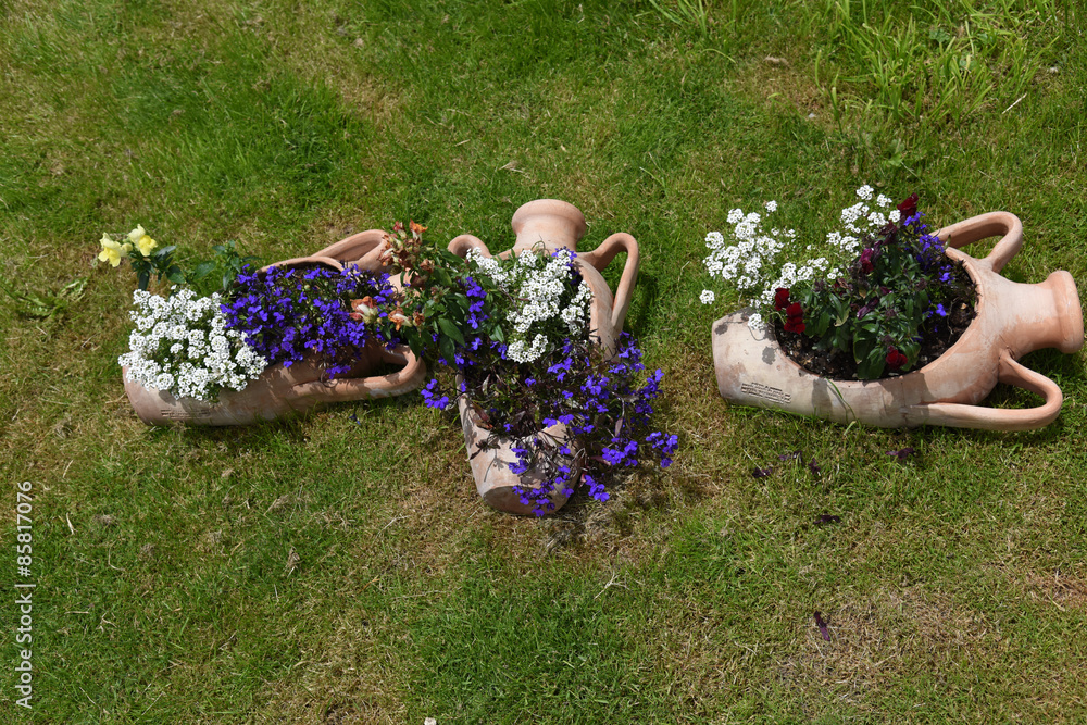Foto Stock vasi di fiori anfora piante fiore giardino | Adobe Stock