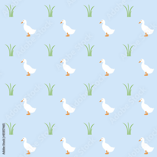 duck pattern