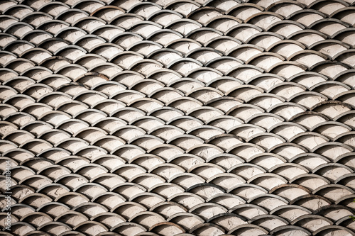 Horizontal Fish Scales © markdeibertphoto