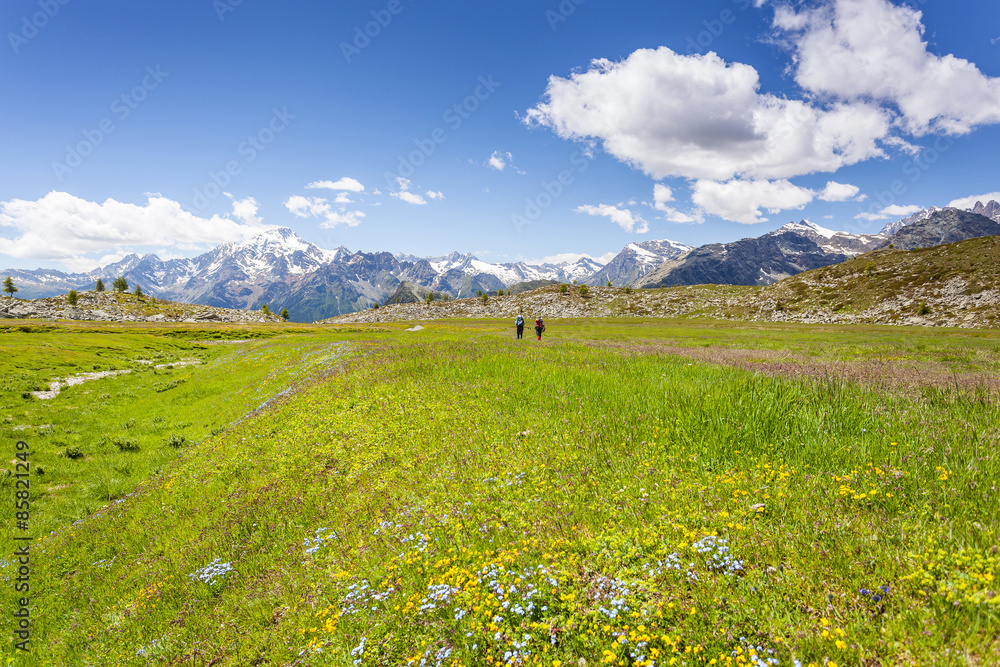 vallata alpina con escursionisti