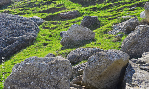 Rocky stones on the grass in daylight of the day