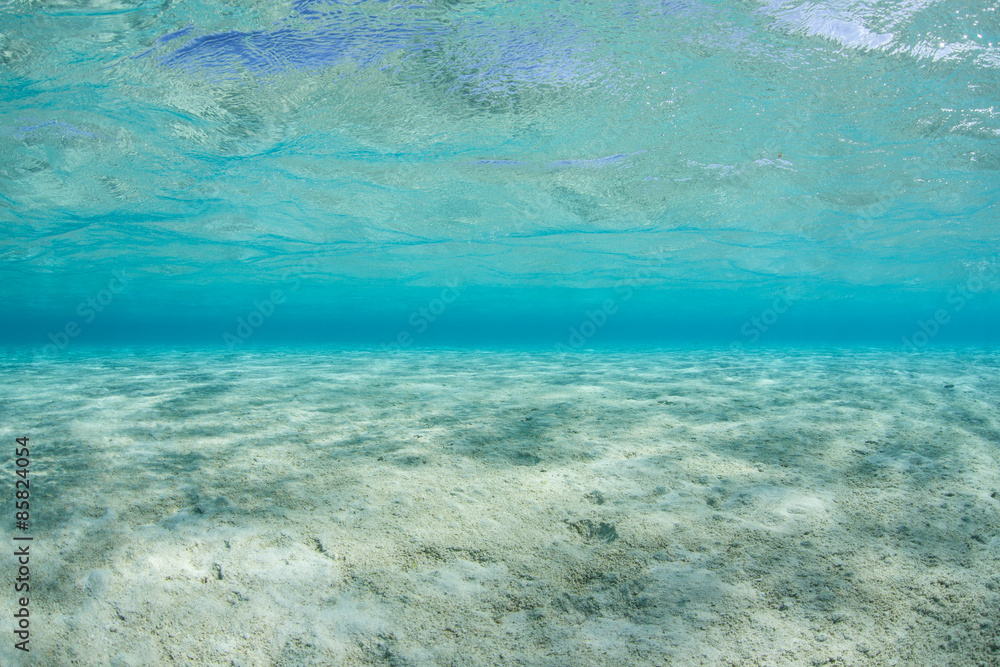Fototapeta premium Clear Tropical Water and Sand