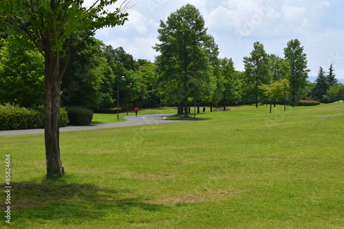 森と芝生の公園