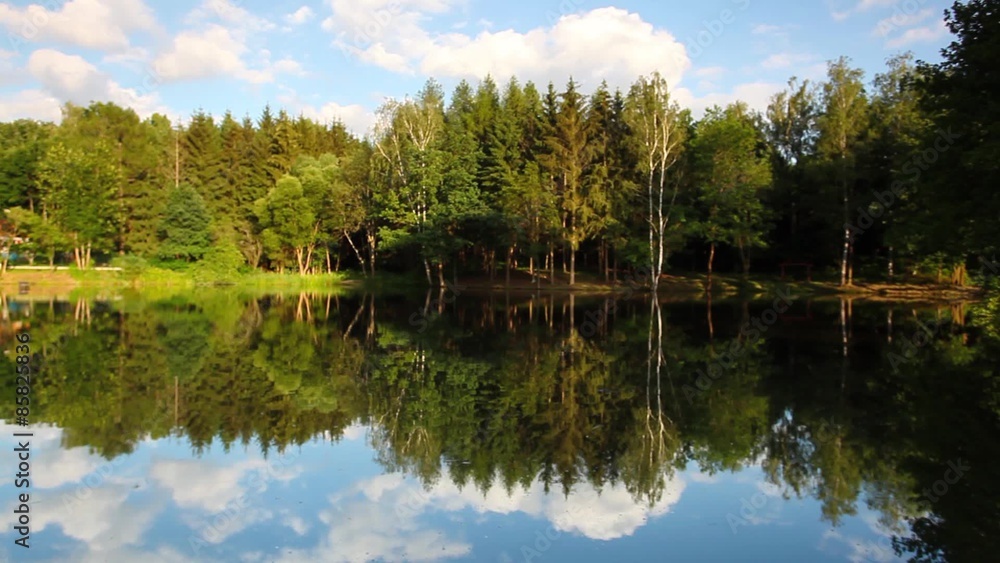Symmetry reflection on a summer lake Symmetry reflection on a summer lake