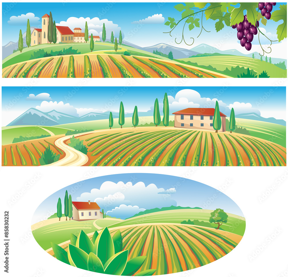 Fototapeta Banners with the agriculture landscape