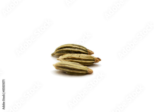 Fennel seeds photo