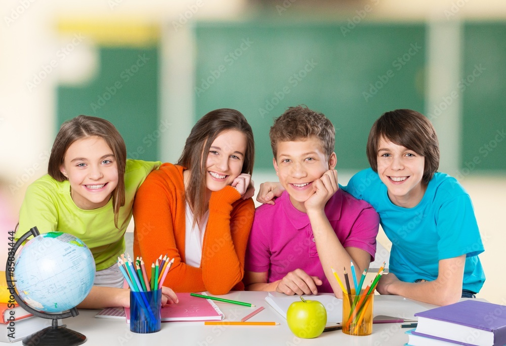 Fototapeta premium Classroom, group, youngster.