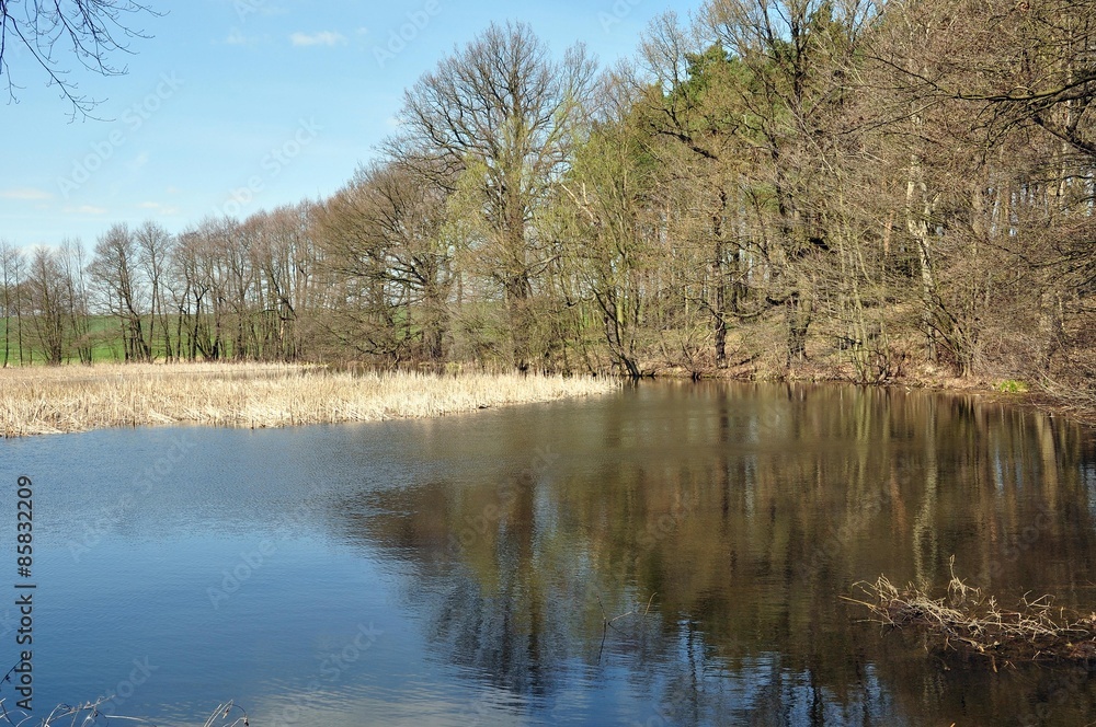 Mühlteich in Dahlen