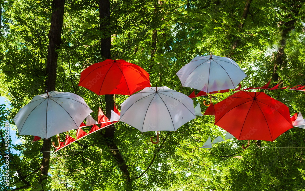 Umbrellas red and white on a background of trees