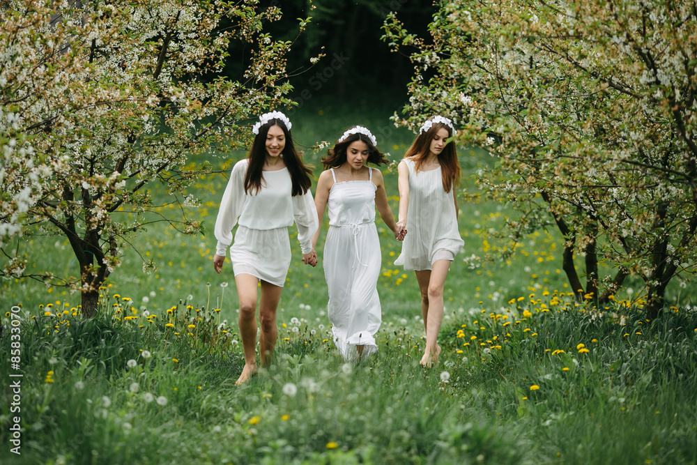 Fototapeta premium three beautiful girls