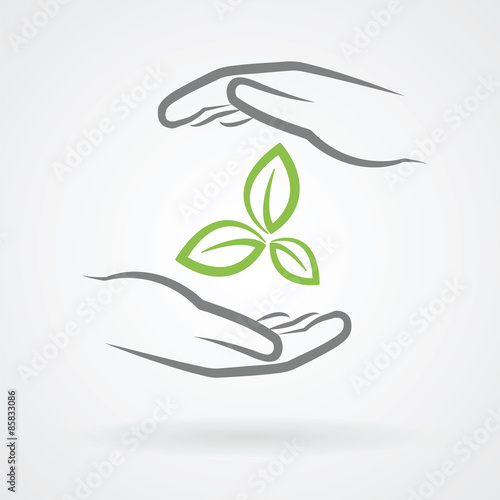 Hands with green leaves