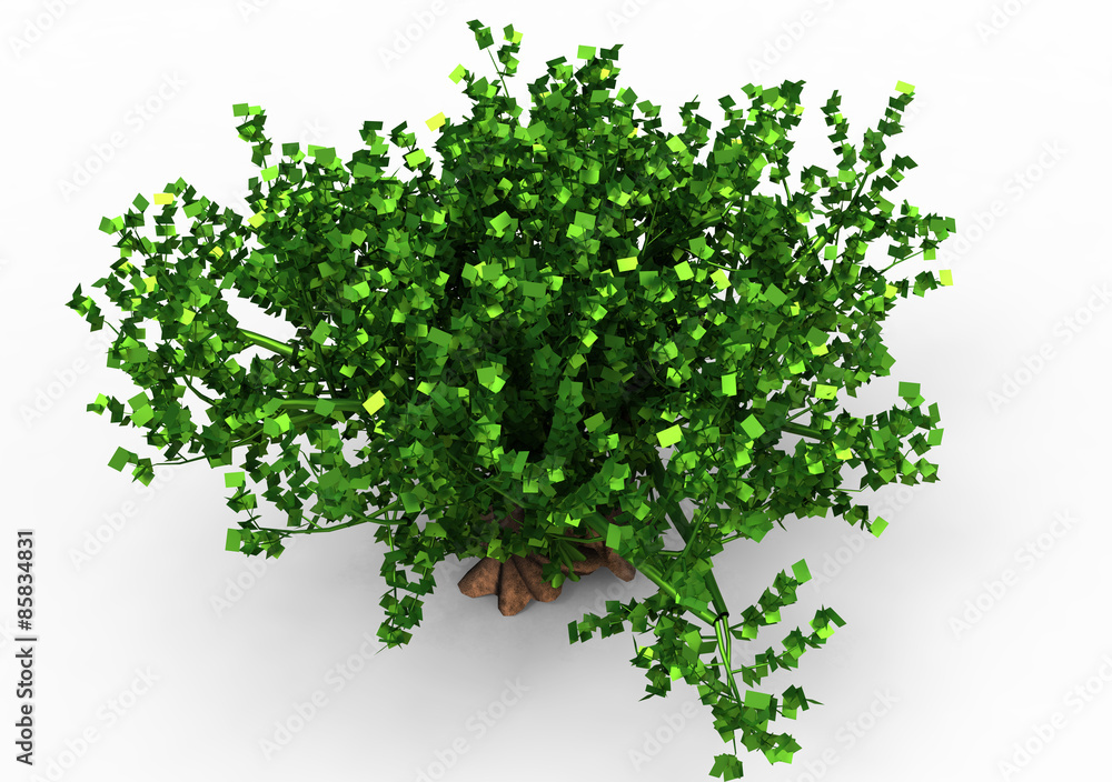 Fototapeta premium tree