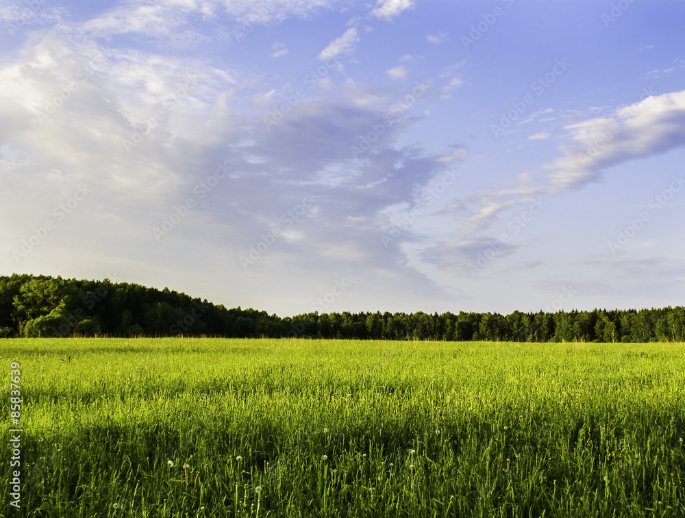 grass field and dramatic sky at sunset grass field and dramatic sky at sunset