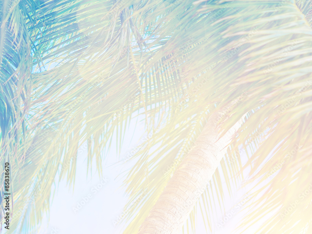 Obraz premium Beautiful tropical background