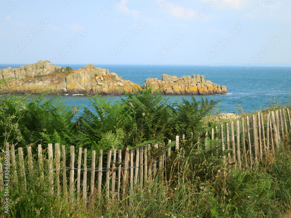 Obraz premium Coast of ocean. Brittany, France.