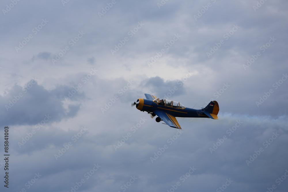 Tri Color Jet Flugshow, Frecce Tricolore, Jet, Motorflugzeug, Propellerflugzeug ...