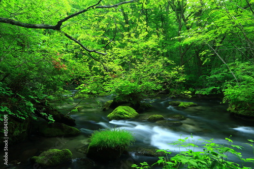 青森県　奥入瀬渓流　三乱の流れ © yspbqh14