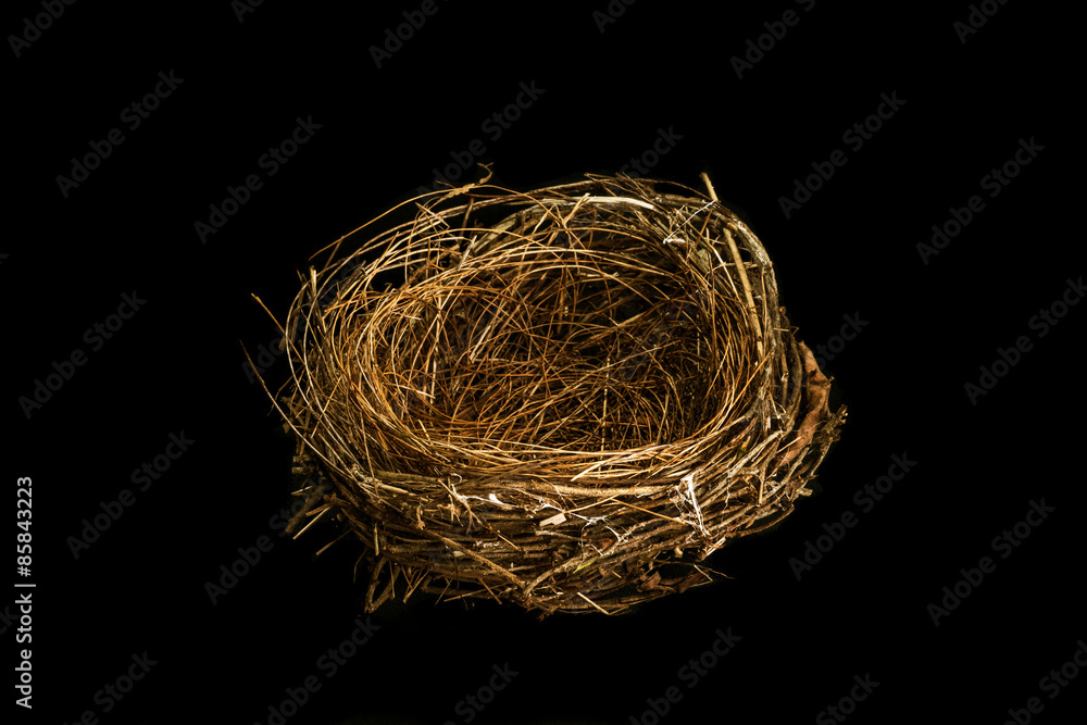 Obraz premium Empty bird nest on black background