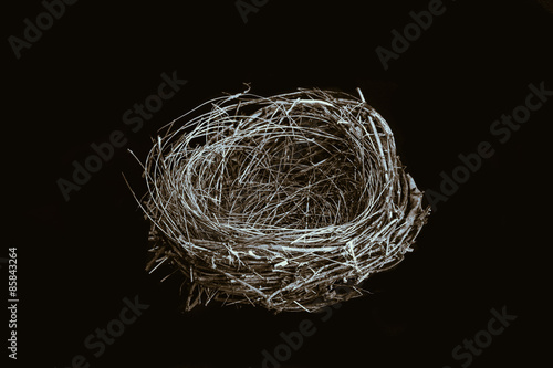 Tableau sur toile Empty bird nest on black background
