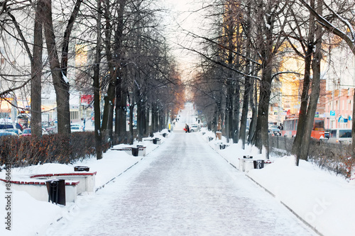 Empty Avenue with benches and trees in snow on cold winter day © singulyarra