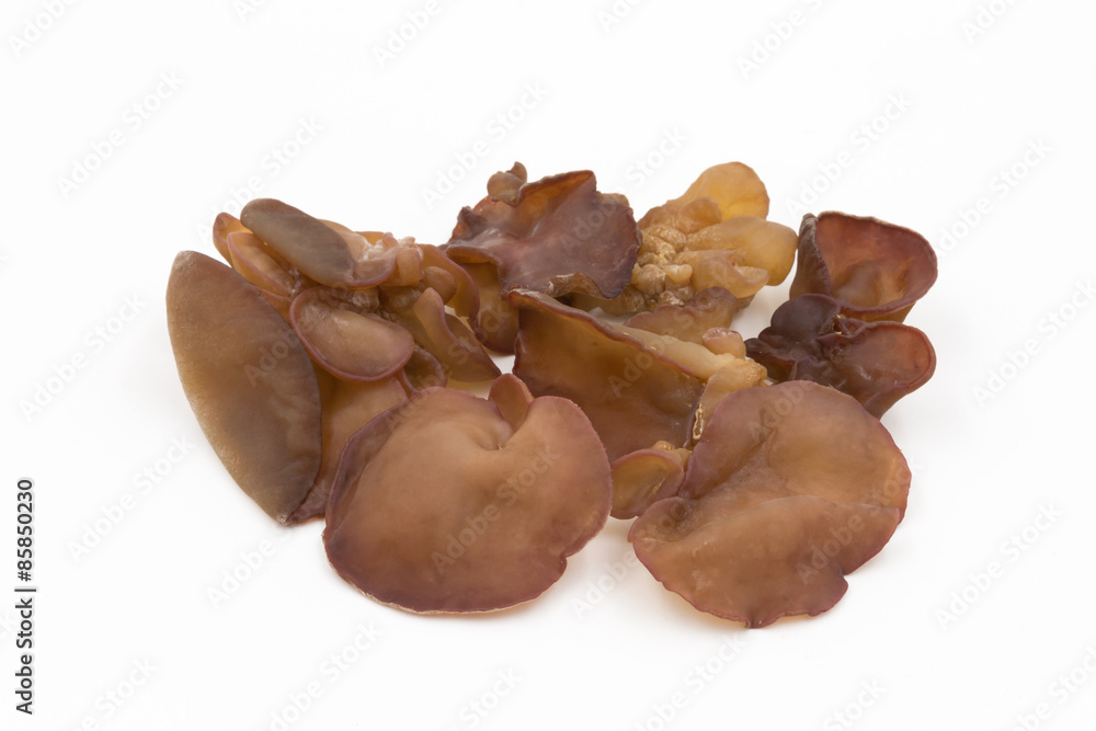Fototapeta premium Black Fungus (Jew's Ear Mushroom ) on white background