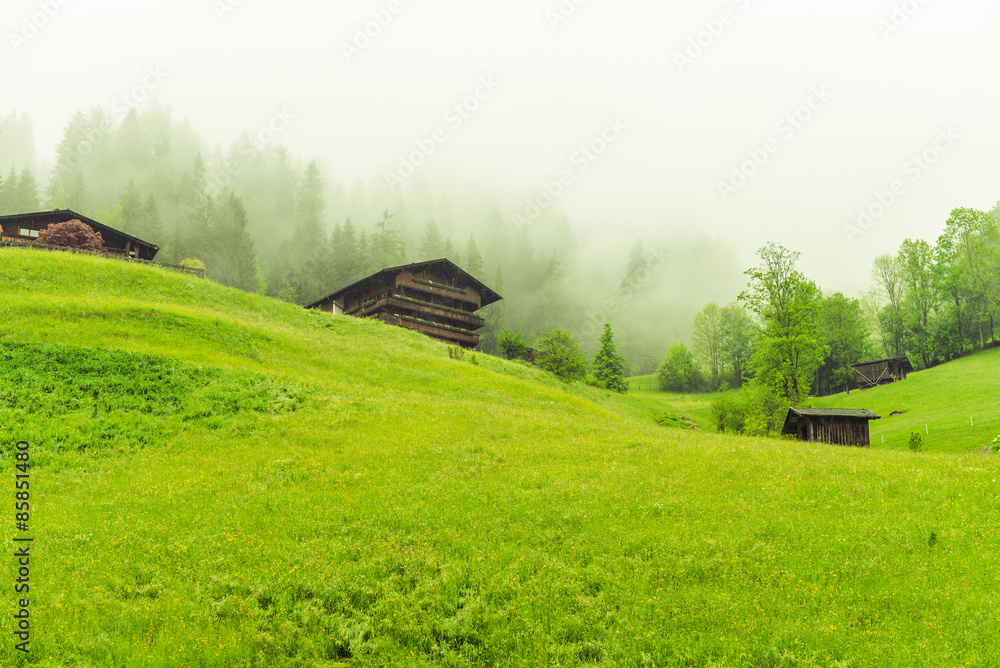 Houses on the mountains. Houses on the mountains.