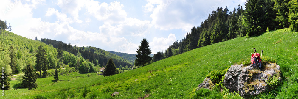 Panorama Pochwerksgrund / Thüringer Wald