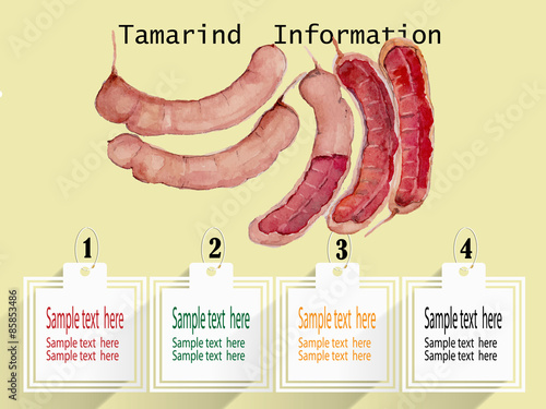 tamarind watercolor illustration info graphic 