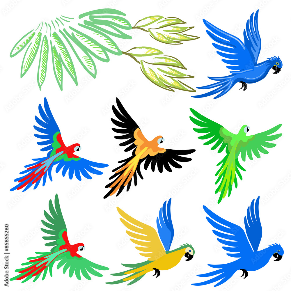 Macaw parrot pattern set Macaw parrot pattern set