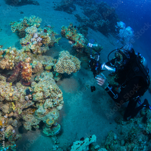 Diver met octopus