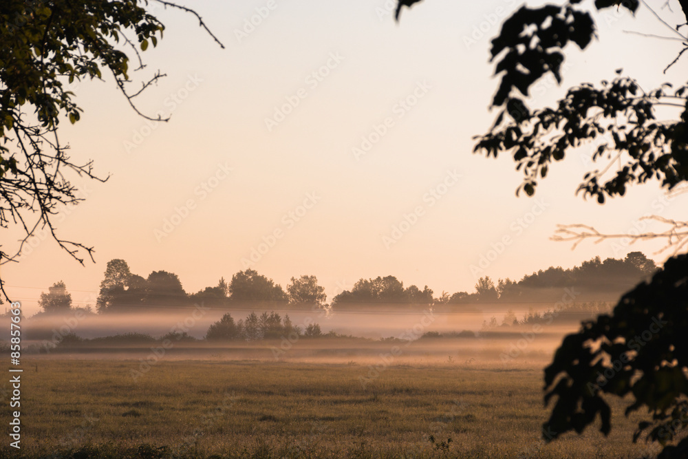 Obraz premium strips of fog over the field