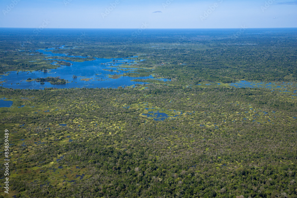 アマゾン河岸の湖