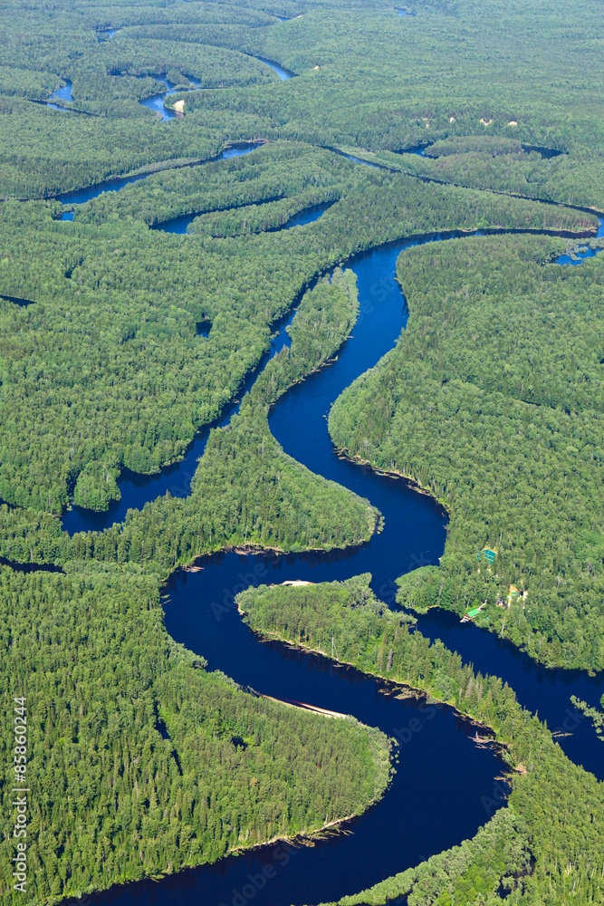 Forest river in summer, top view