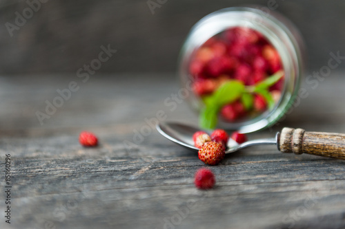 Wild strawberries photo