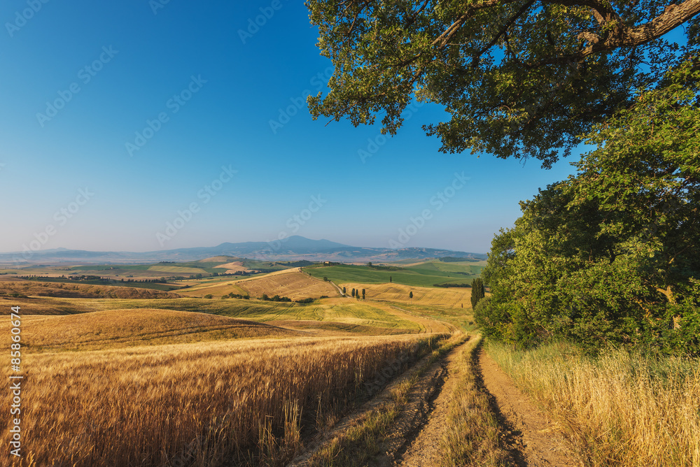 Beautiful spring and summer landscape with a golden Tuscany