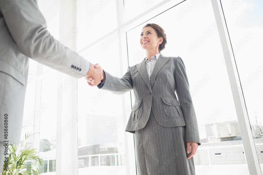 Smiling businesswoman shaking hand with a businessman Smiling businesswoman shaking hand with a businessman