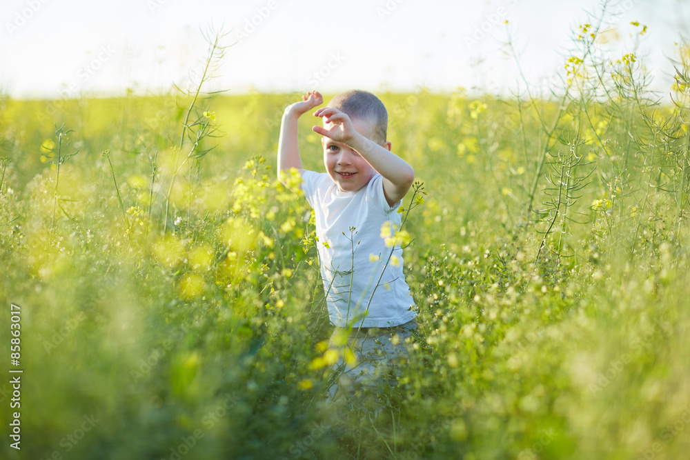 boy standing in rapeseed field boy standing in rapeseed field