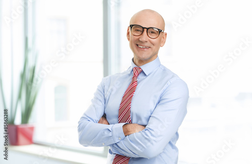 Executive businessman portrait