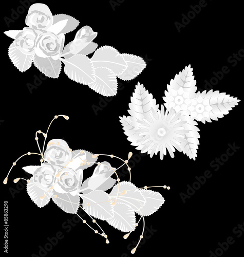 White flowers isolated on black background