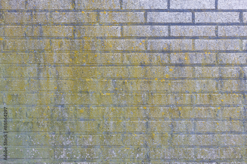 Fototapeta premium Brick wall.