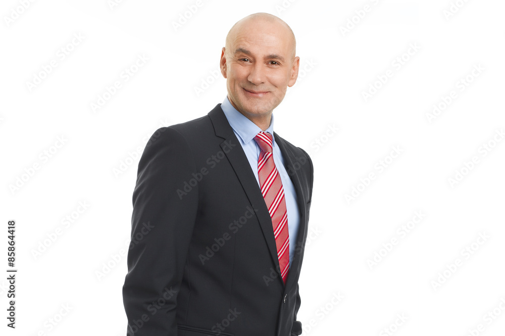Executive businessman portrait Executive businessman portrait