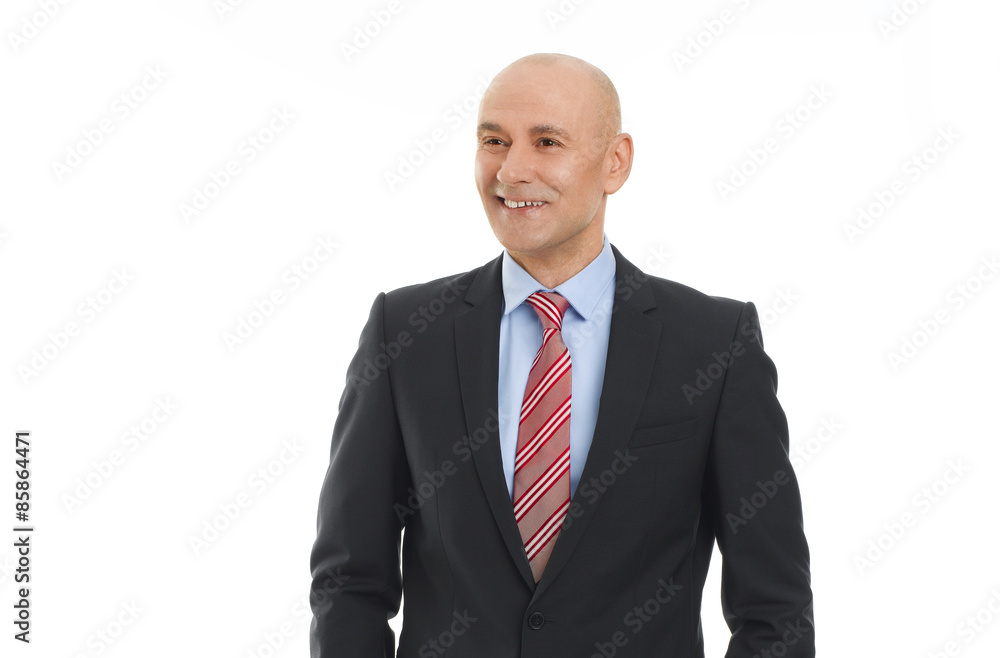 Executive businessman portrait Executive businessman portrait