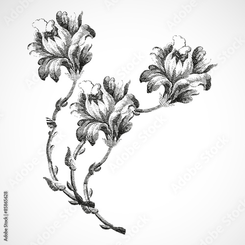 Fototapeta Naklejka Na Ścianę i Meble -  Hand-drawn bouquet of three flowers of lily, vintage isolated background vector illustration realistic sketch